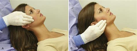 Palpation of the Masseter 